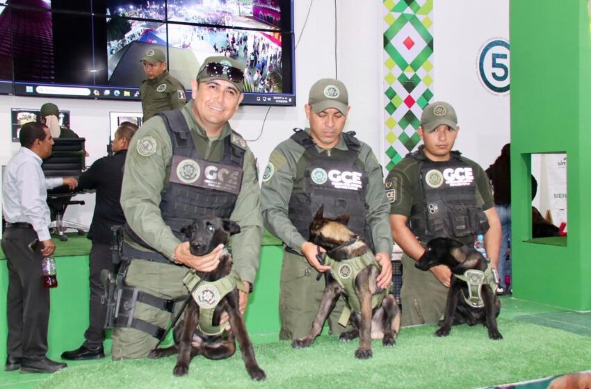  STAND DE SEGURIDAD COMBINA PREVENCIÓN, TECNOLOGÍA Y DIVERSIÓN EN LA FENAPO