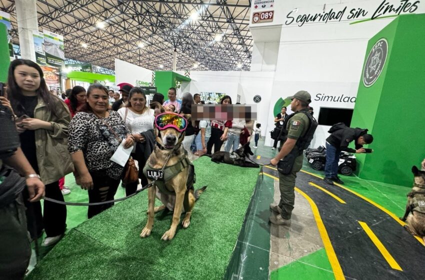  SSPC MANTIENE DESPLIEGUE PERMANENTE EN LA FENAPO 2026