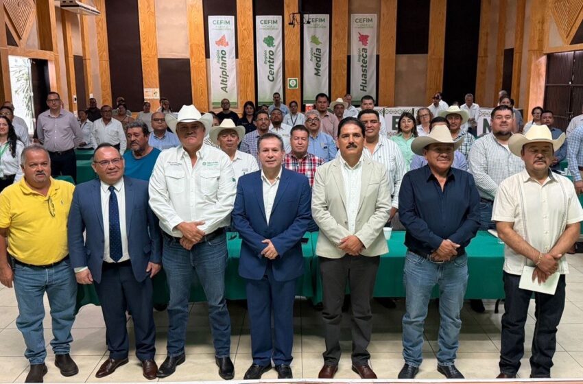  MÁS DE 3 MIL 200 SERVIDORES MUNICIPALES RECIBEN CAPACITACIÓN GRATUITA POR PARTE DEL ESTADO