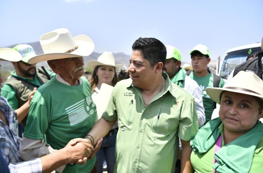  San Luis Potosí lidera valor de producción de tomate rojo y ocupa tercer lugar en elote