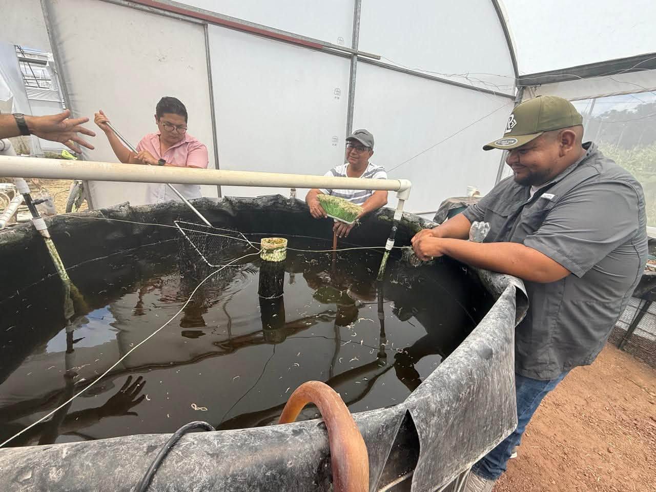 Sistema acuapónico del Centro El Balandrán de la UASLP con tanques para crianza de tilapia y producción de plantas