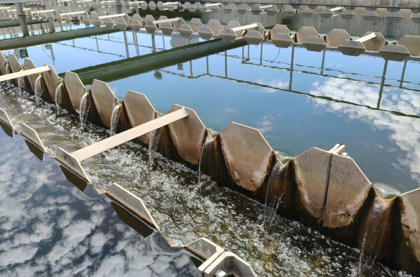  Sistema El Realito reanuda operaciones; suministro de agua se recuperará de forma gradual