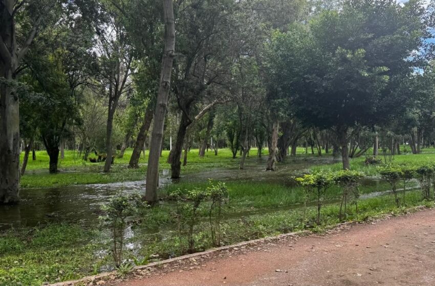  PARQUES TANGAMANGA SOLICITAN TOMAR PRECAUCIONES ANTE LLUVIAS Y TORMENTAS ELÉCTRICAS