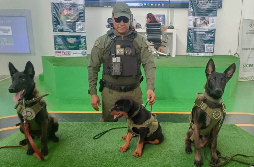  K9 DE LA GCE LLEVÓ ACCIONES DE PROXIMIDAD SOCIAL Y CUIDADO DE LOS ANIMALES A LA FENAPO 2026