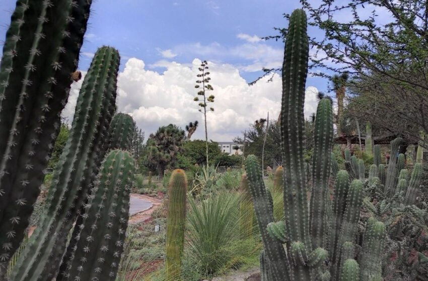  Jardín Botánico Izotal de la UASLP recibirá el otoño con recorridos, talleres y actividades para toda la familia