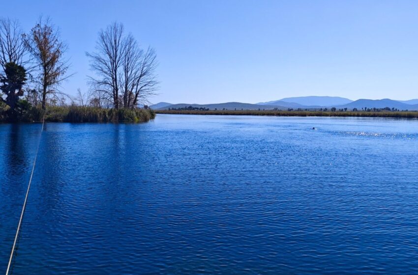  GOBIERNO DEL ESTADO CONSOLIDA COOPERACIÓN AMBIENTAL NACIONAL E INTERNACIONAL