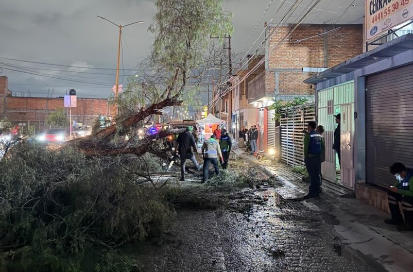  Soledad mantiene operativo por lluvias; atiende caída de árbol, encharcamientos y desazolve
