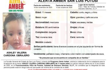 Ficha de Alerta Amber para localizar a Ashley Valeria Cardona Obrajero, de 11 meses, vista por última vez en Soledad de Graciano Sánchez.