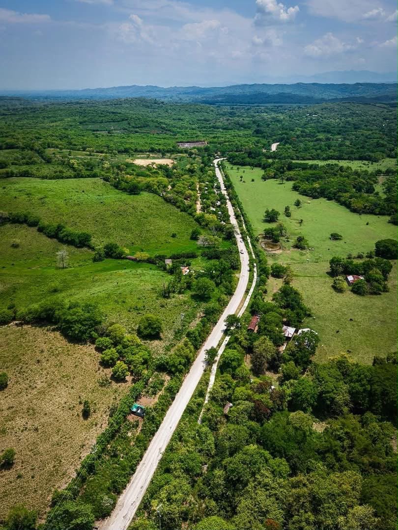 Vista aérea de una carretera entre campos y zonas arboladas en San Luis Potosí