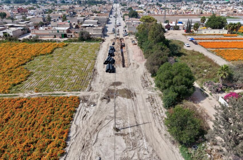  Avanza segunda etapa de pavimentación de avenida Ponciano Arriaga en Soledad