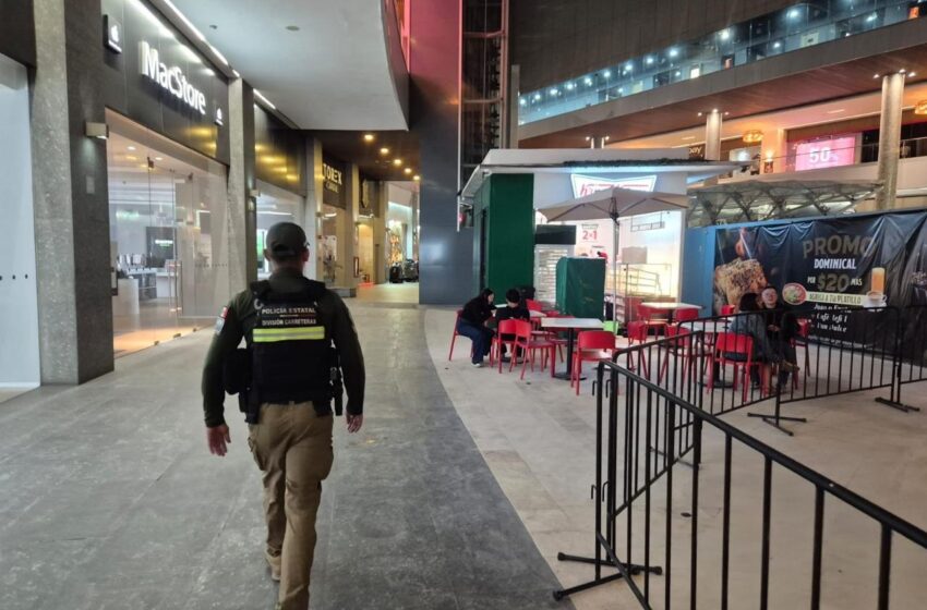  MÁS DE NUEVE MIL POTOSINOS PARTICIPAN EN ACCIONES DE PREVENCIÓN DEL DELITO
