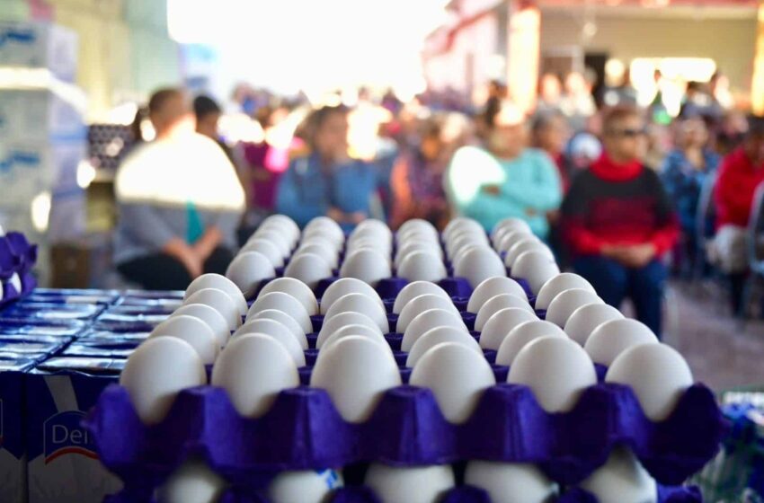  SAN LUIS POTOSÍ OCUPA QUINTO LUGAR NACIONAL EN PRODUCCIÓN DE HUEVO