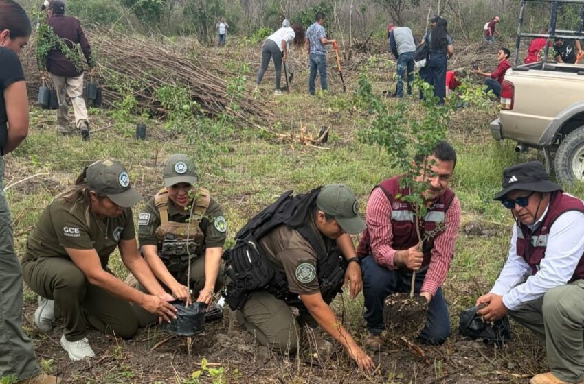  PARTICIPA GUARDIA CIVIL ESTATAL EN JORNADA DE REFORESTACIÓN DE LA CUENCA DEL RÍO VALLES