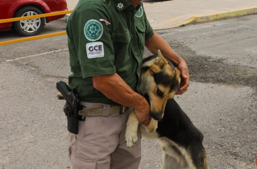  SSPC REAFIRMA COMPROMISO CON LA SEGURIDAD TRAS COMPARECENCIA ANTE EL CONGRESO