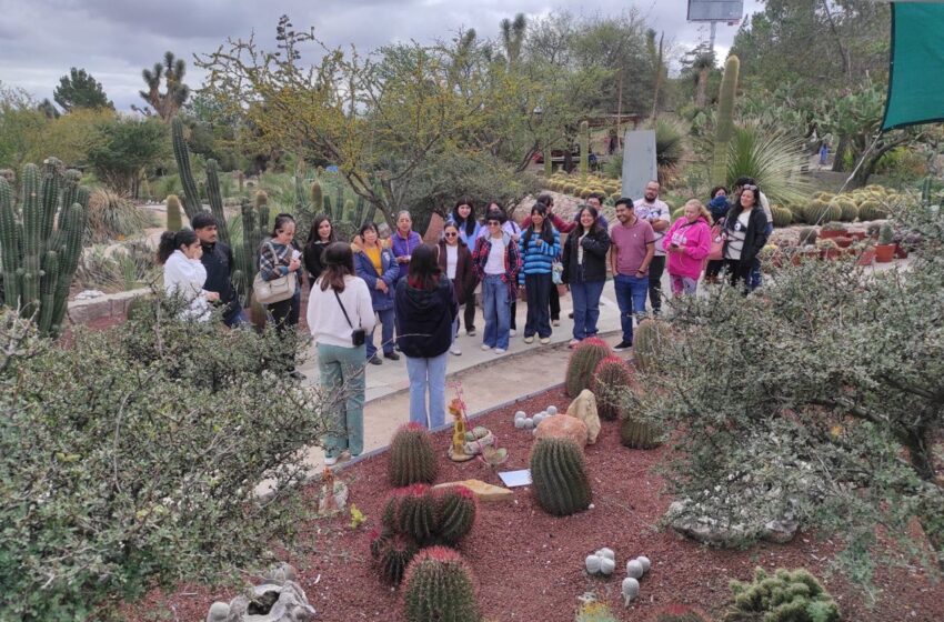  Jardín botánico El Izotal de la UASLP acerca a la comunidad a los aromas, sabores y usos tradicionales del cempasúchil